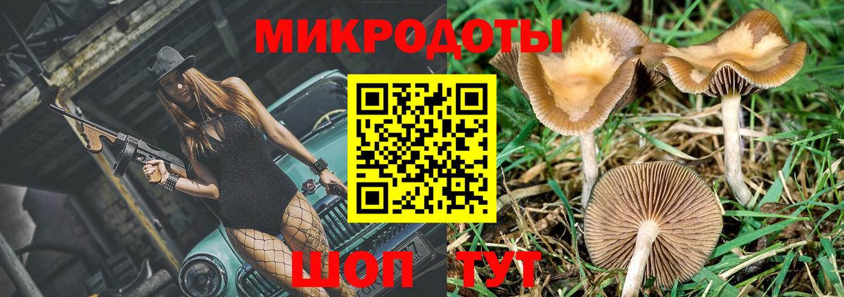 где можно купить наркотик  Вход с VPN  Электрогорск  Галлюциногенные грибы прущие грибы 